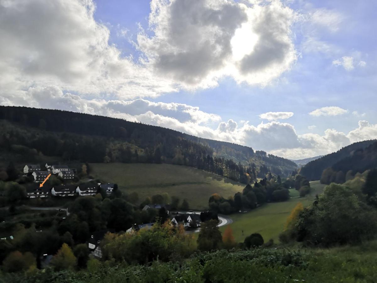 Gemutliche Ferienwohnung D'N Uitkijk - Willingen ヴィリンゲン エクステリア 写真
