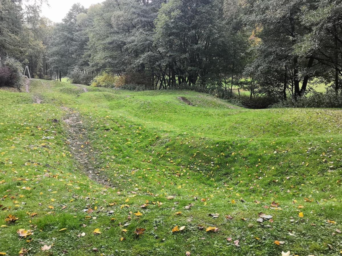 Gemutliche Ferienwohnung D'N Uitkijk - Willingen ヴィリンゲン エクステリア 写真