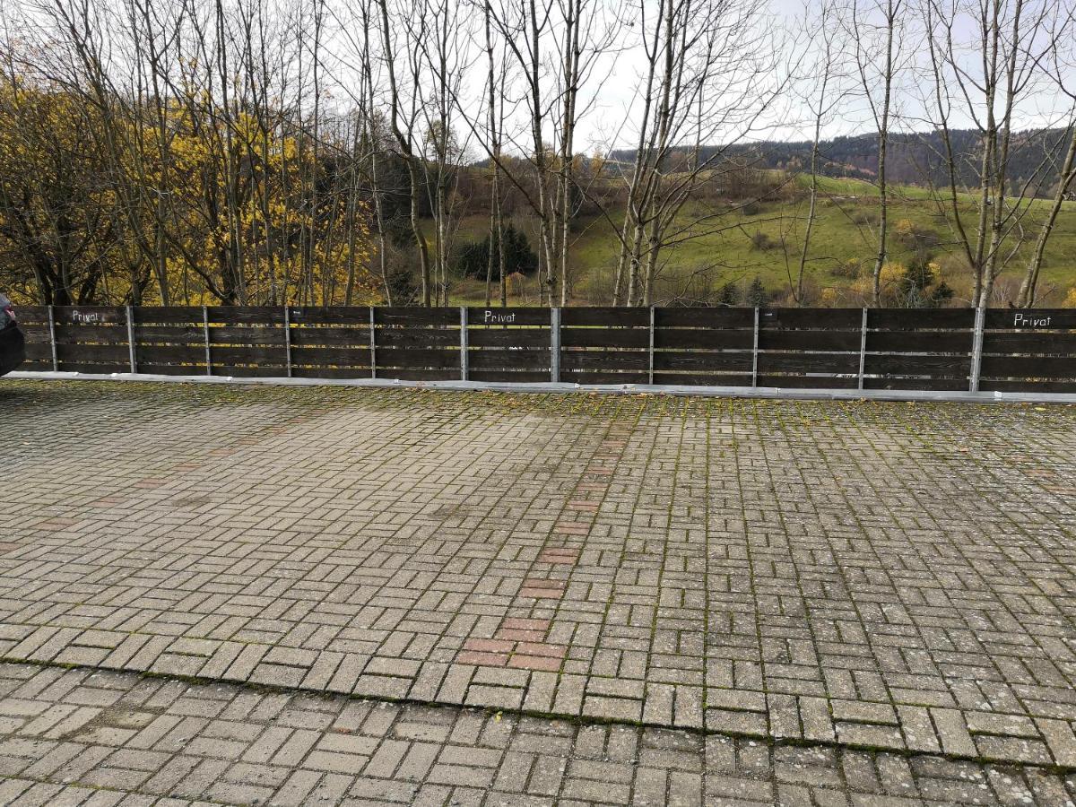 Gemutliche Ferienwohnung D'N Uitkijk - Willingen ヴィリンゲン エクステリア 写真