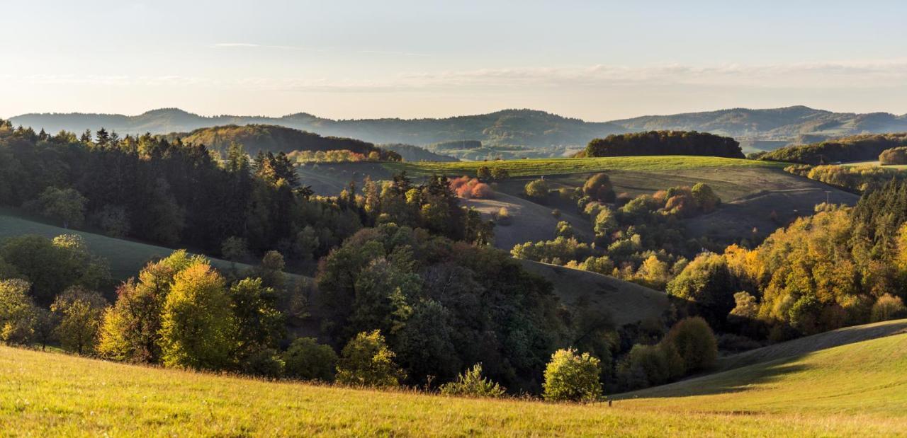 Gemutliche Ferienwohnung D'N Uitkijk - Willingen ヴィリンゲン エクステリア 写真
